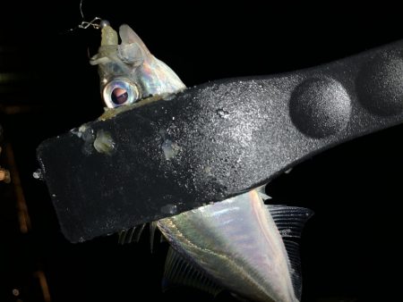 アーバンサイドアジング