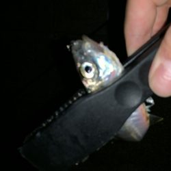 アーバンサイドアジング