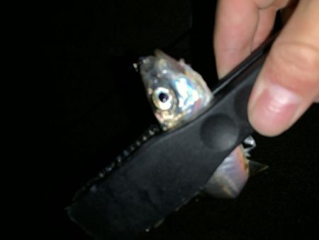 アーバンサイドアジング