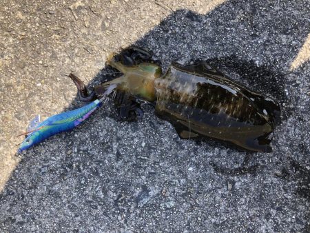 島根県のはずが…