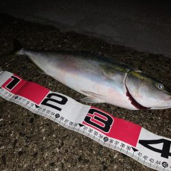 釣れてるって聞いて調査に行ったつもりが。