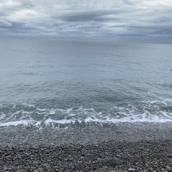 久しぶりに連れました