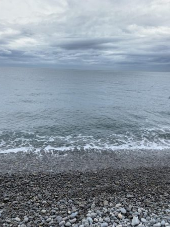 久しぶりに連れました