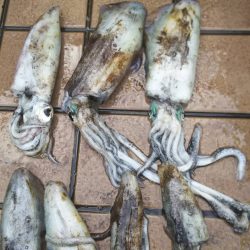 雨の中粘り勝ち