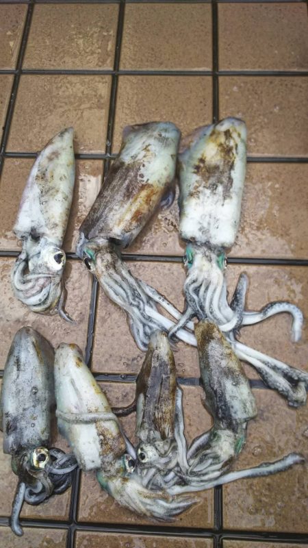 雨の中粘り勝ち