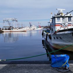 タチウオに会えない