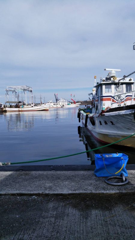 タチウオに会えない