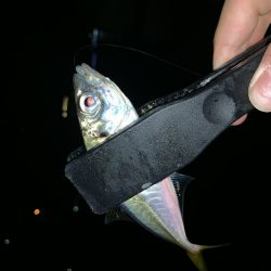 アーバンサイドアジング