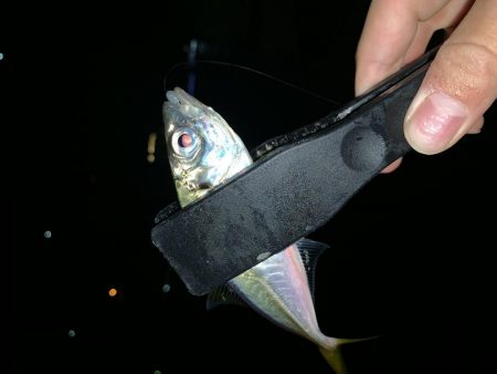 アーバンサイドアジング