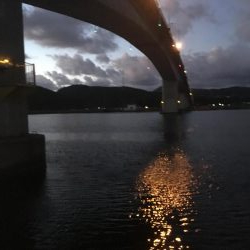 人生初シーバス