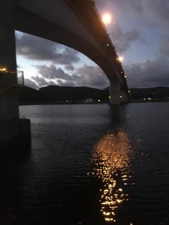 人生初シーバス