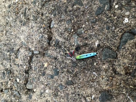 アジ ◯ タチウオ駄目