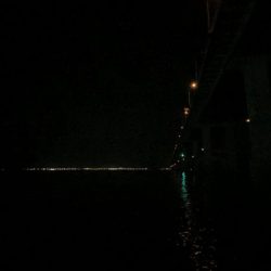 癒しの夜景アジング