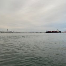 台風後、爆釣、いよいよ太刀魚シーズンか