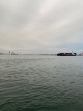 台風後、爆釣、いよいよ太刀魚シーズンか