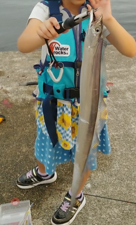 ハマチ　太刀魚