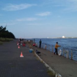 タチウオ人気ありすぎやわ