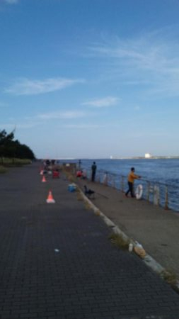 タチウオ人気ありすぎやわ