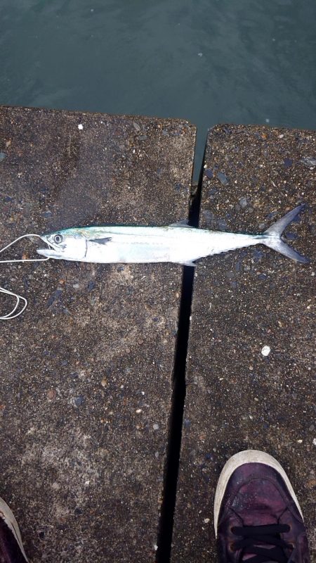 台風後の宮津湾