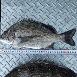 満潮１時間前に