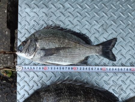 満潮１時間前に