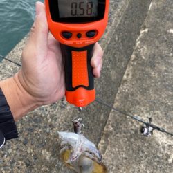 過去最高の・・・