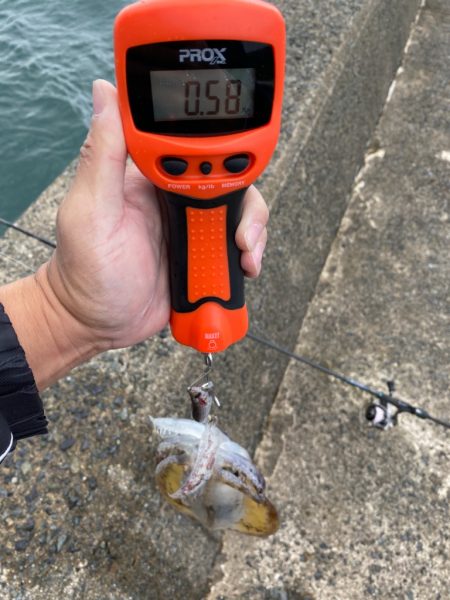 過去最高の・・・