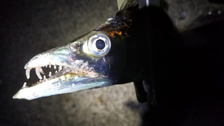 風にも負け…てしまいながらも