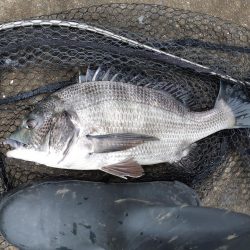 強風で海が大荒れ