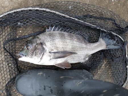 強風で海が大荒れ