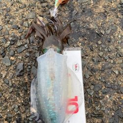 大変良くできました。