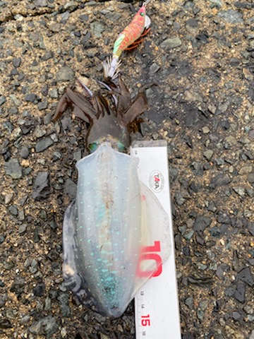 大変良くできました。