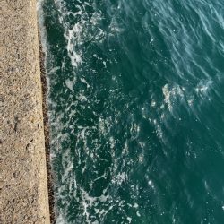 エメラルダスAIR86MIお疲れ様でした。