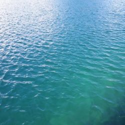 潮とまり、、、、かなあ。グレもタイも無し（涙）