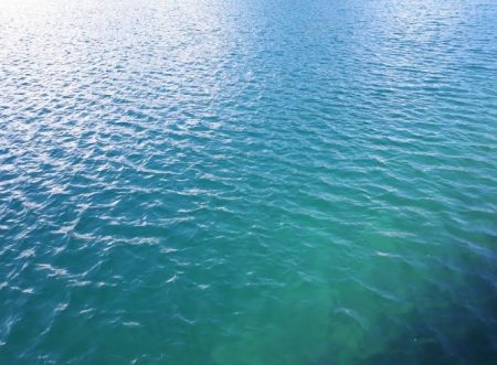 潮とまり、、、、かなあ。グレもタイも無し（涙）