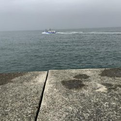 台風明けの荒くい