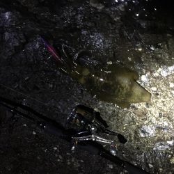 人里離れた磯に