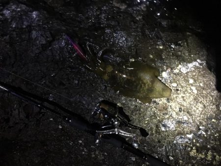 人里離れた磯に