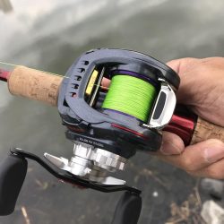 城北ワンド　調査釣行