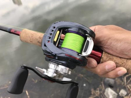 城北ワンド　調査釣行