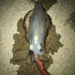 少し風ありました