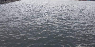 念願の奴が釣れた