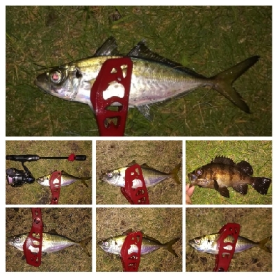 LSJiggnger0510〜0700 アジンガー1845〜1930 2105〜2130