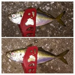 アジンガー1825〜2030