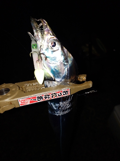 今年初、初、初!!!