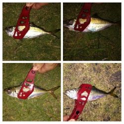 LSJigginger0755〜0845 アジンガー1900〜1935 2105〜2145