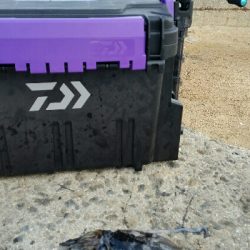 シリヤケじゃなかった！