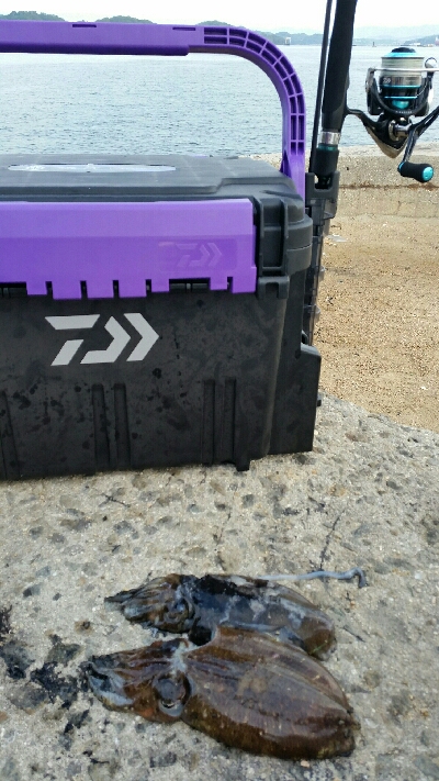 シリヤケじゃなかった！