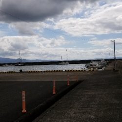 ロックフィッシュ初めました。