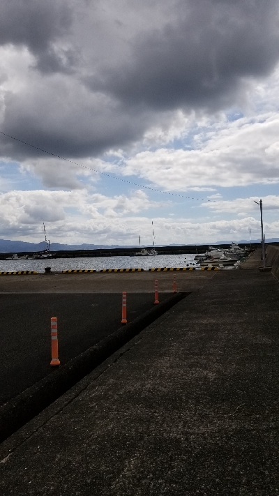 ロックフィッシュ初めました。